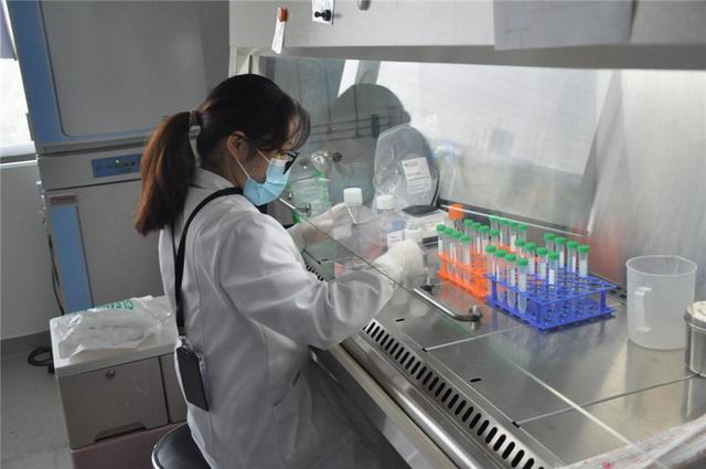 依科賽生物:細胞培養(yǎng)和鑒定試劑的領軍企業(yè)