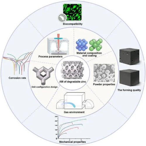 重慶大學l同濟大學l北京大學l增材制造鋅基生物材料的研究進展