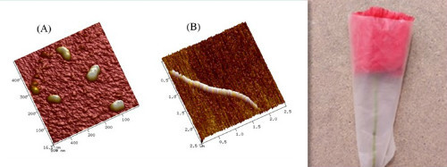 水保所在生態環境治理新型材料研發方面取得系列進展