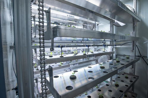 ai技術真的能讓農業不再 靠天吃飯 嗎