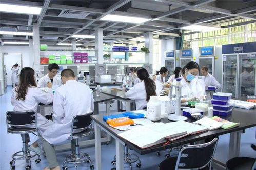 海南大學(xué) 強(qiáng)化合與引 反哺自貿(mào)港