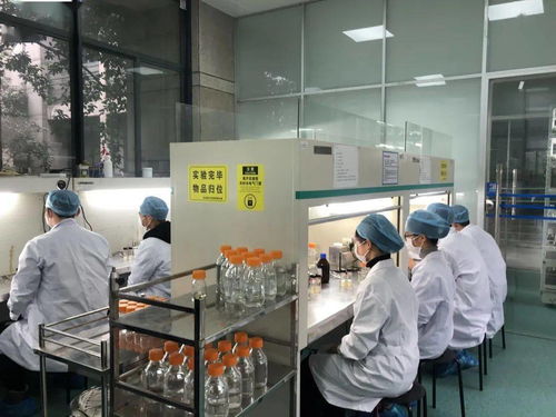 生物選考沖刺提分秘籍 高中生物實驗訓練營寒假開啟，助力未來生物基材料技術研發